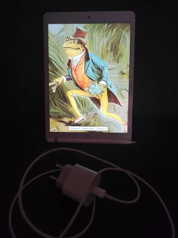iPad 8 32 GB + Apple Pencil + зарядка — 550 ₾ — Тбилиси — 550 ₾