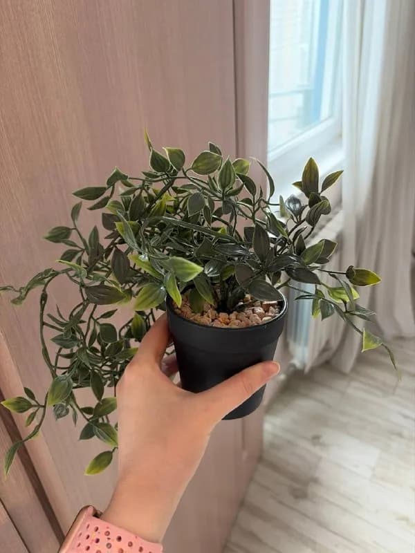 Кустики искусственных растений — Батуми — 3 ₾