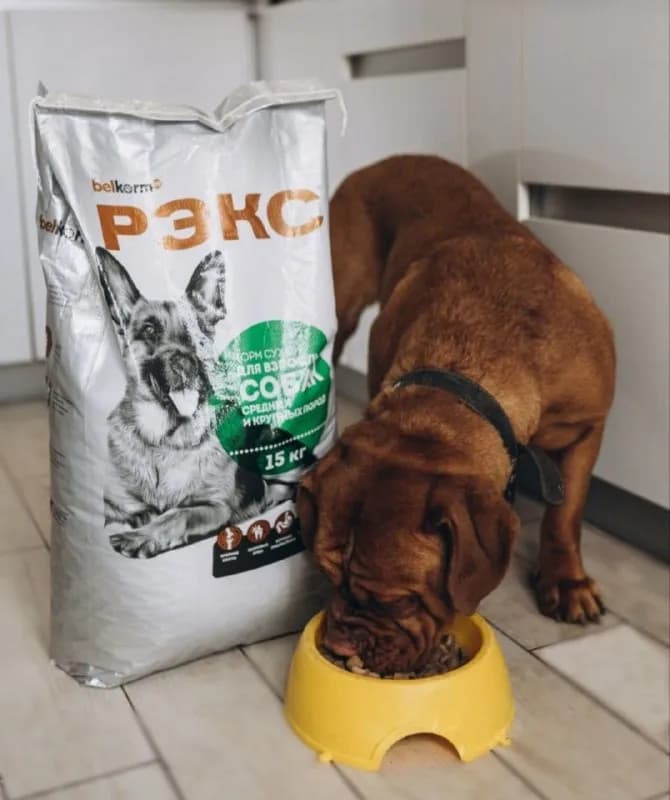 20 кг 15.000 — Ереван