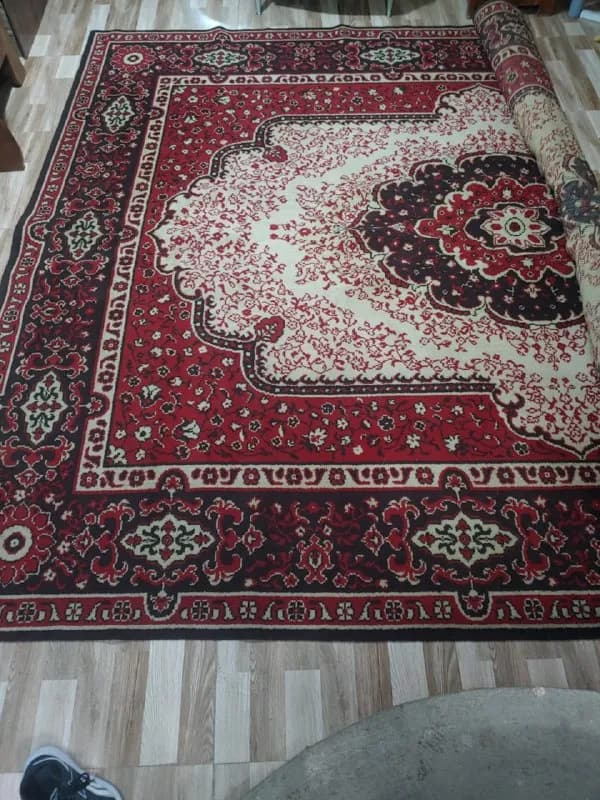 3 на 4 метра (реальные размеры 290*380 см) — Тбилиси — 200 ₾