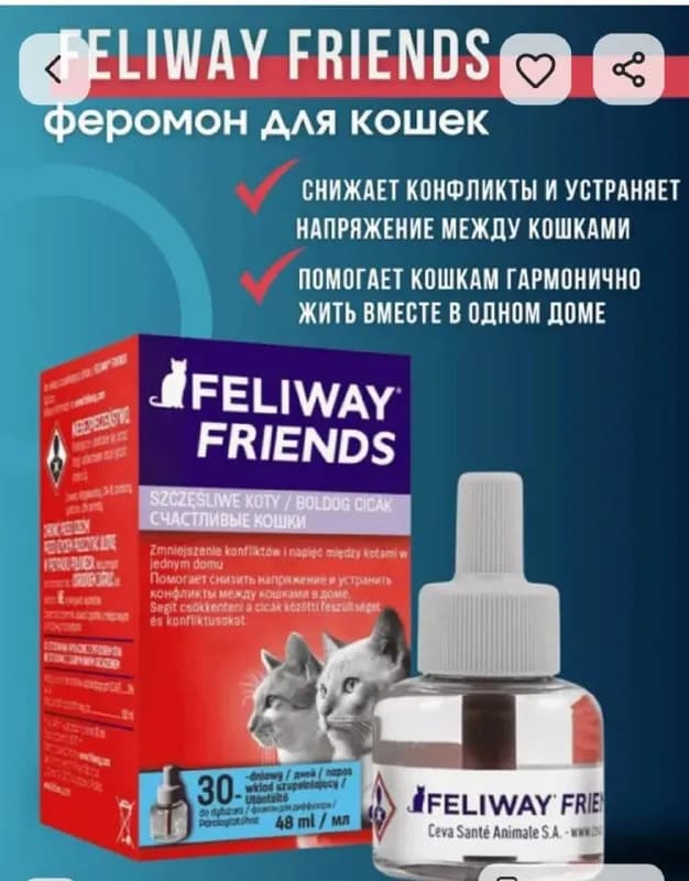 Feliway friends — феромоны, которые снижают конфликты между кошками. Мы использовали 1 флакон, а пот — Тбилиси