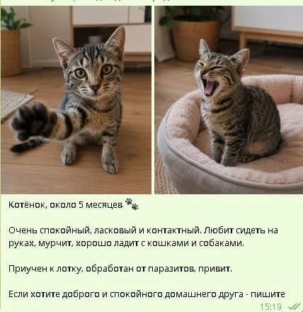 108 тетри. ❤️ — Батуми