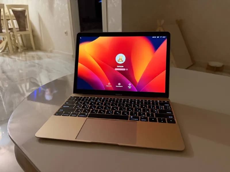 MacBook 12 Retina, состояние очень хорошее, все работает. Яркий экран, качественный звук, тонкий и о — Батуми — 1 000 ₾