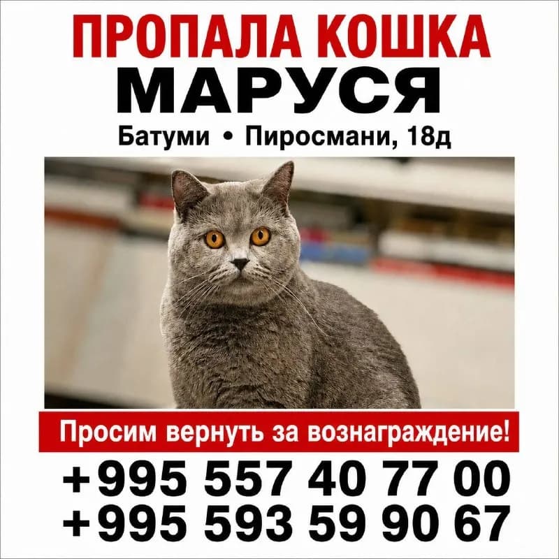 Без названия — Батуми