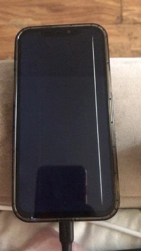 iPhone 12 Pro Max. — Тбилиси