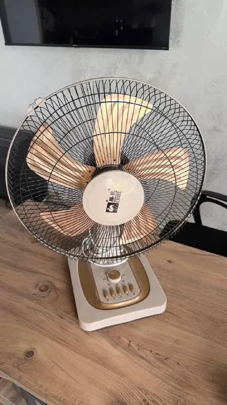 50₾ — Батуми — 50 ₾
