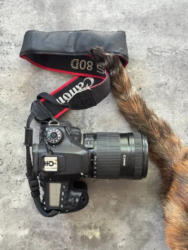 dslr камера canon 80D + объектив 18-135 mm — Тбилиси — 1 300 ₾