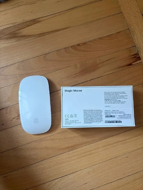 Magic Mouse (Apple) — Тбилиси — 200 ₾