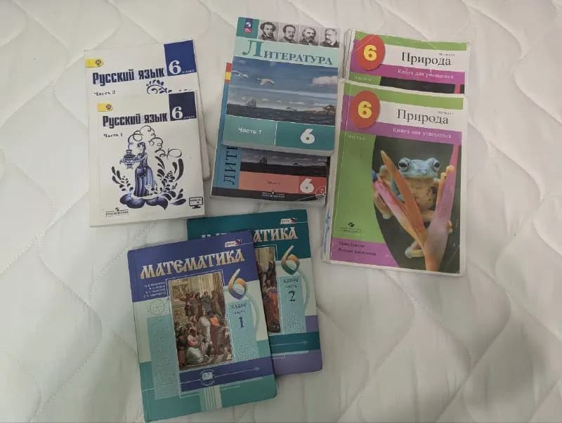 6 класса (школа евро2000). Математика, русский язык, литература (по 2 части)- 35 лари за предмет. П — Батуми — 35 ₾