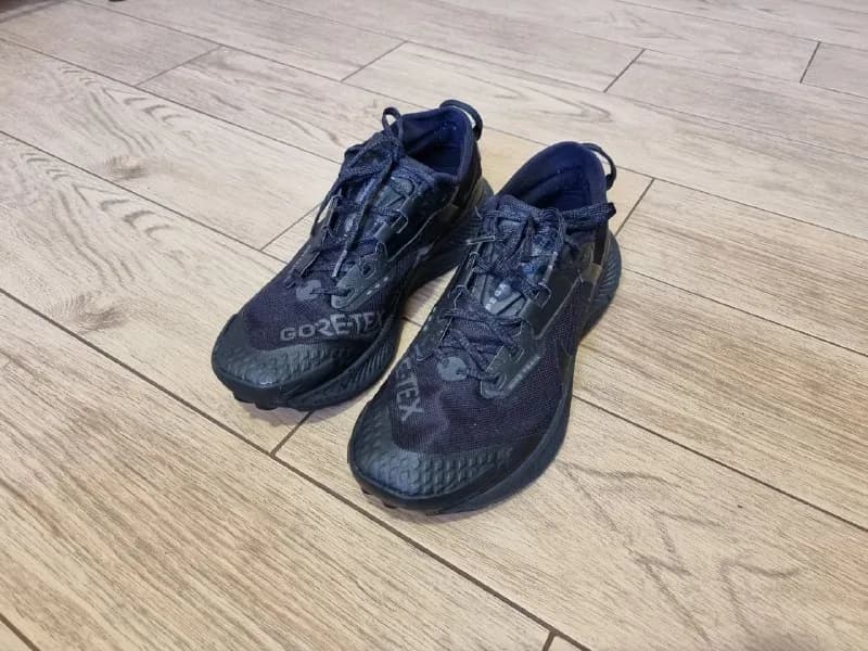 Nike Pegasus Trail 5 GORE-TEX — Тбилиси — 100 ₾