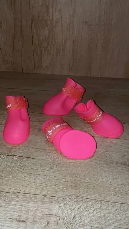 1) Обувь для собаки 🎀🐾 — Тбилиси — 25 ₾