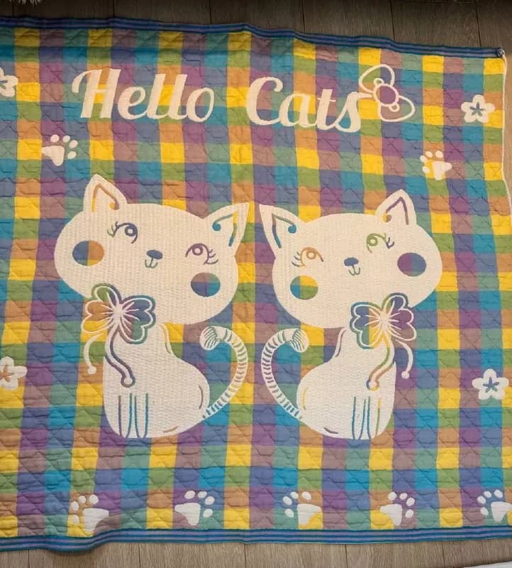 1) Плед-покрывало Hello cats, плотный, в идеале — Батуми — 11 520 ₾