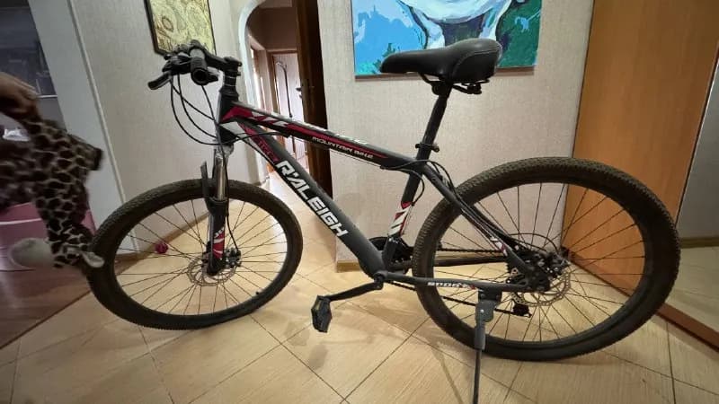 Raleigh диаметр 26 — Тбилиси — 26 350 ₾