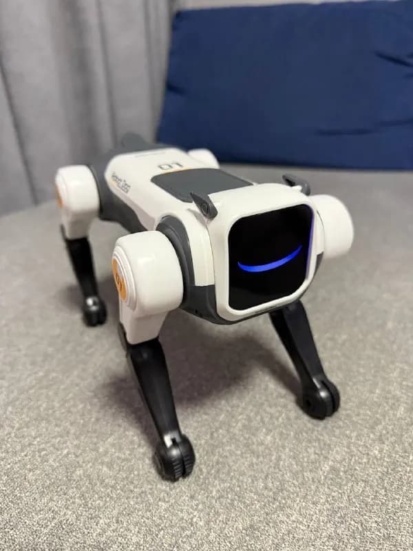 Robot Dog Новый — Батуми — 150 ₾