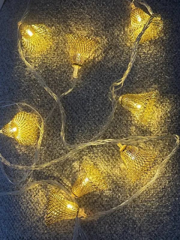 5 лари — Батуми — 5 ₾