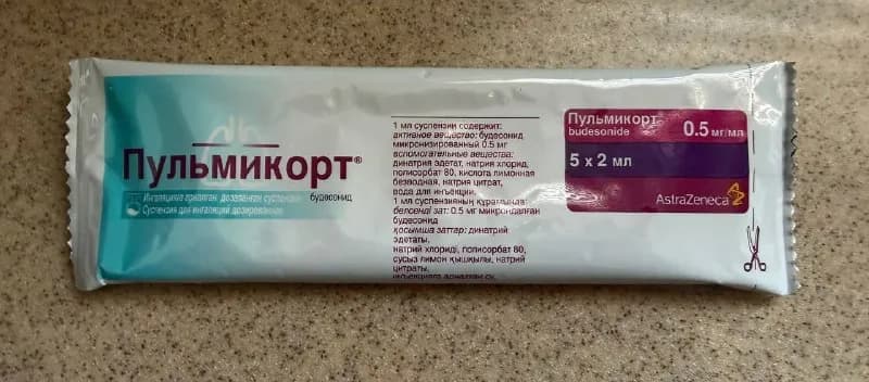 Без названия — Алматы