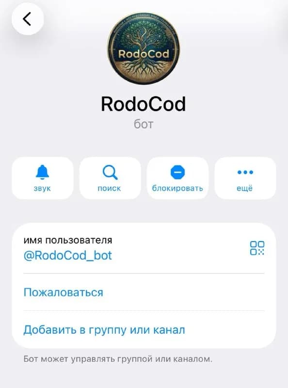 Разработка Telegram-ботов, сайтов и ИИ-автоматизация — Анталия