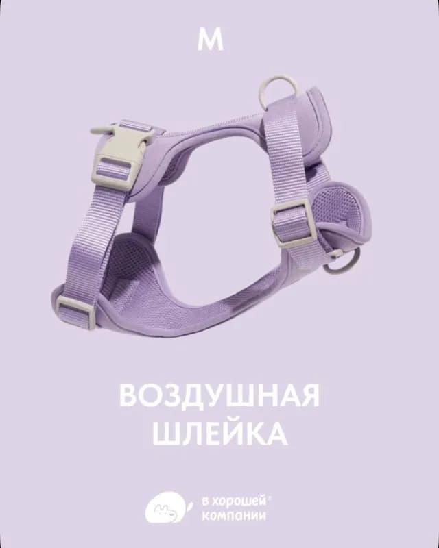 Анатомическая прогулочная шлейка для собак средних пород, фиолетовая — Тбилиси — 100 ₾