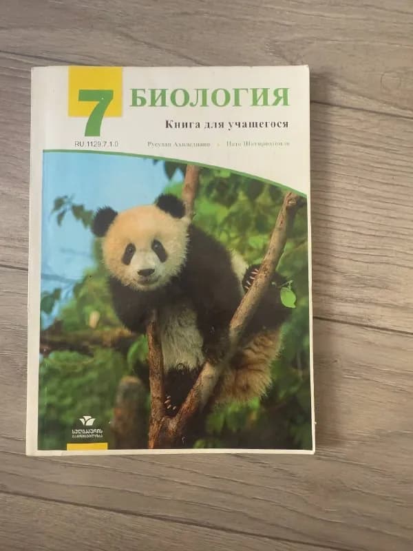 7-8 класса по пять лари — Батуми
