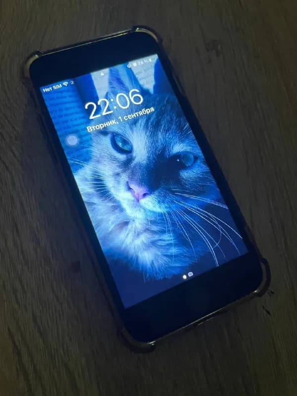 iphone 7 в идеальном состоянии цена 180руб торг! память 32 гб аккумулятор 100% — Минск — 180 Br