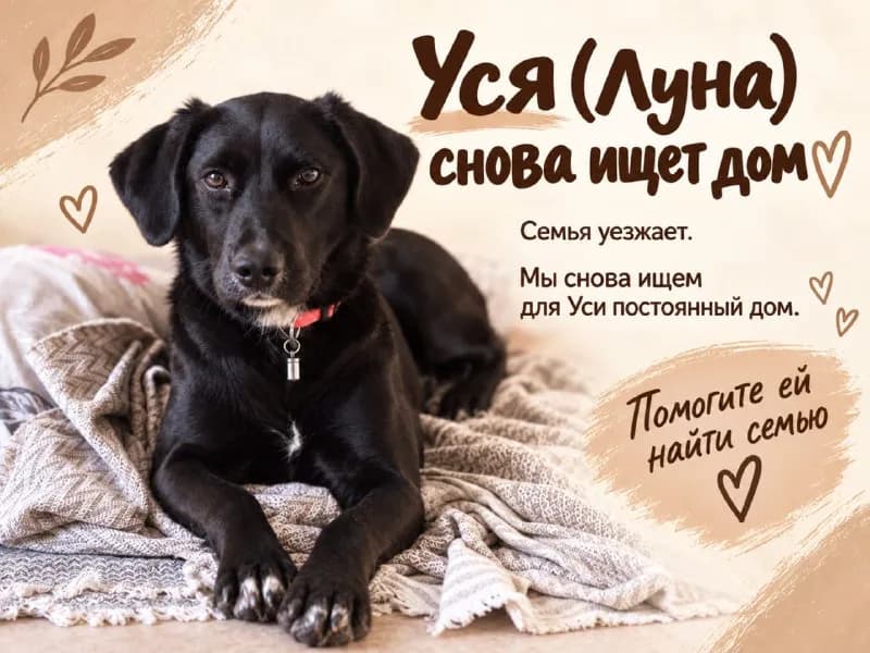 Без названия — Батуми