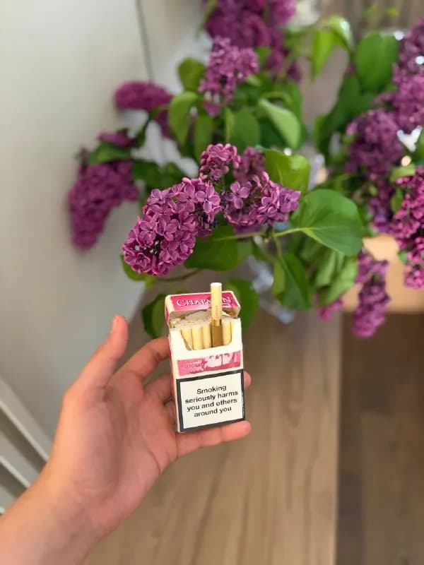 Chapman Вишня 🍒 кофе ☕️ яблоко 🍏 ваниль 🍰 классик 🚬 айс Берри 🫐 ваниль Толстые-Тонкие-Супер То — Тбилиси
