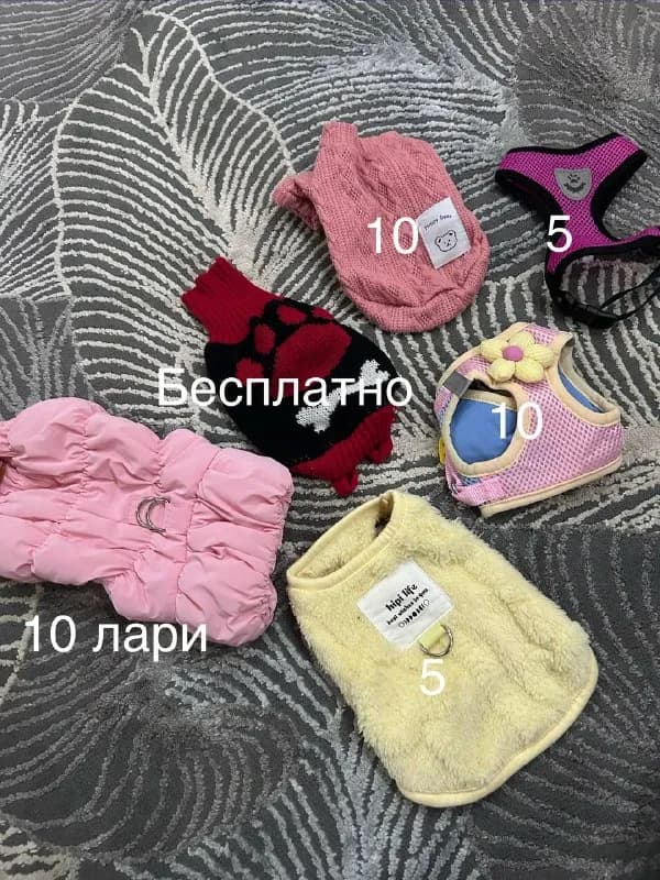 Вещи для маленькой собаки, шлейки, кофточка и курточка XS — Батуми