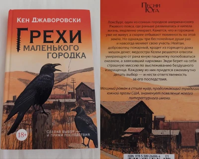 Книга Грехи маленького городка Кен Джаворовски — Белград — 550 дин