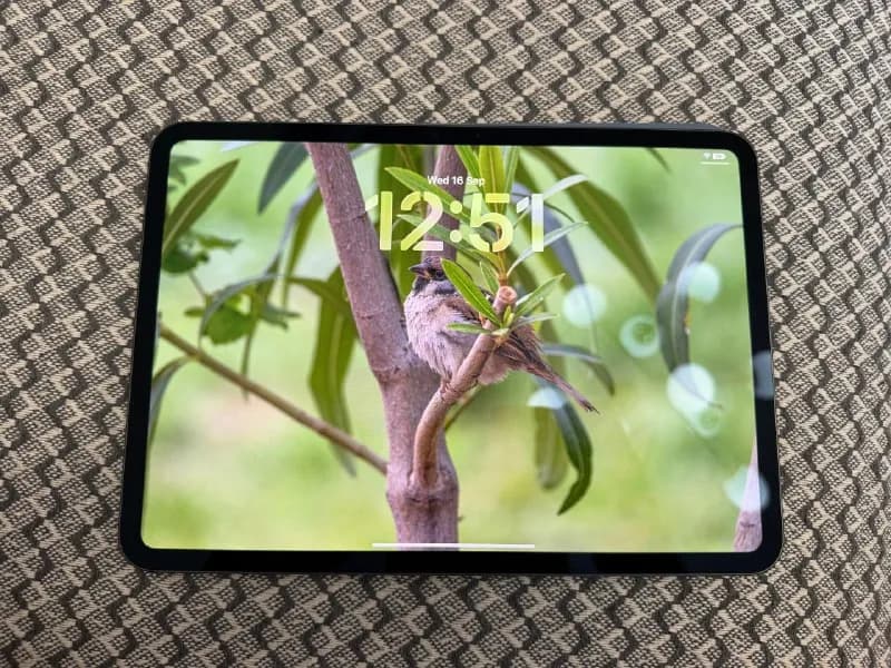 Ipad pro 11 M4 256gb wifi, цвет space black — Батуми — 1 950 ₾