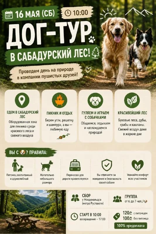 ДОГ-ТУР в Сабадурский лес — Тбилиси — 120 ₾
