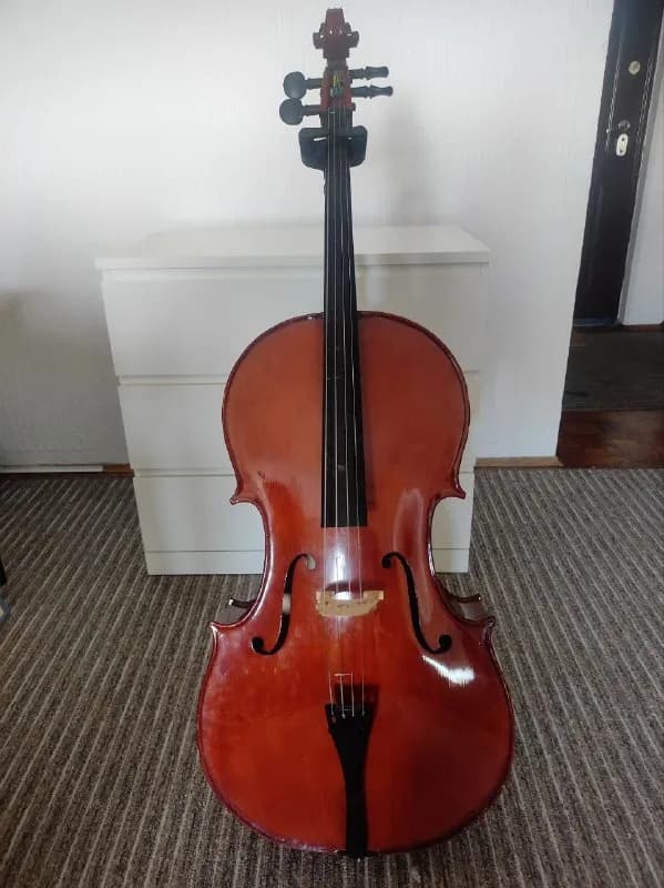 Виолончель Stagg 4/4, ученическая с чехлом — Белград — 250 €