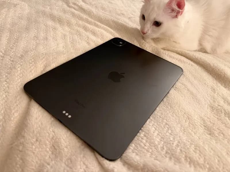iPad Pro 11 M4 — Батуми — 3 300 ₾
