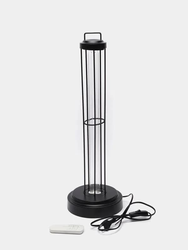 100w — Батуми — 120 ₾
