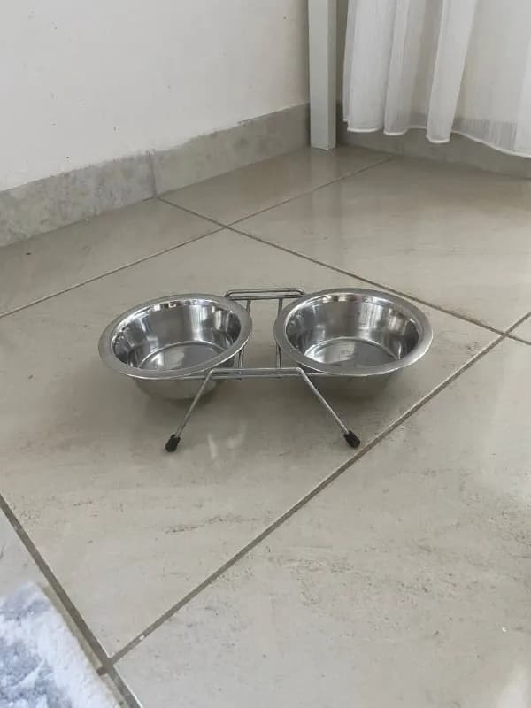 Продам. За всё 1000 лир. Корм Royal Canin 1250 грамм осталось. Качественные три миски из нержавейки. — Анталия — 1 000 ₺