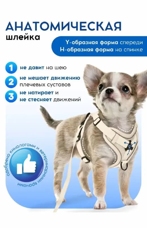 Батуми. Продается анатомическая шлейка S размера для маленьких пород собак или кошек. — Батуми — 20 ₾