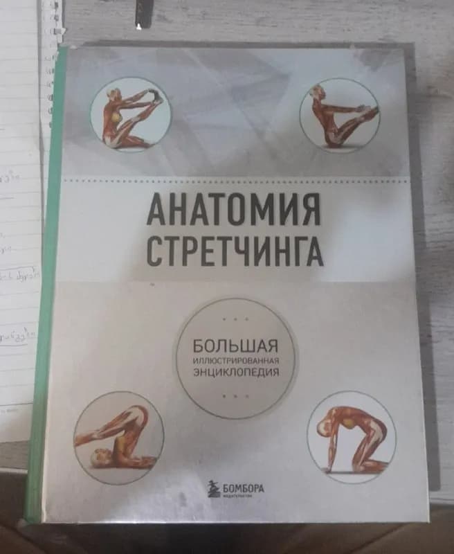 Классная книга Анатомия растяжек — Тбилиси — 35 ₾