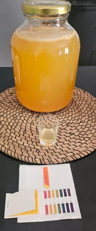 Яблочный уксус домашний с медом — Батуми — 10 ₾
