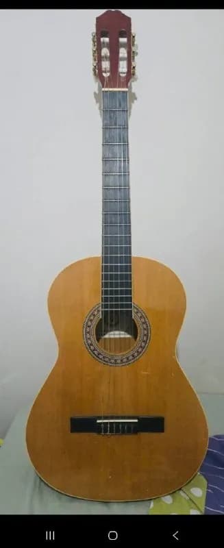 Классическая гитара SKYLARK MG005 — Анталия — 950 ₺