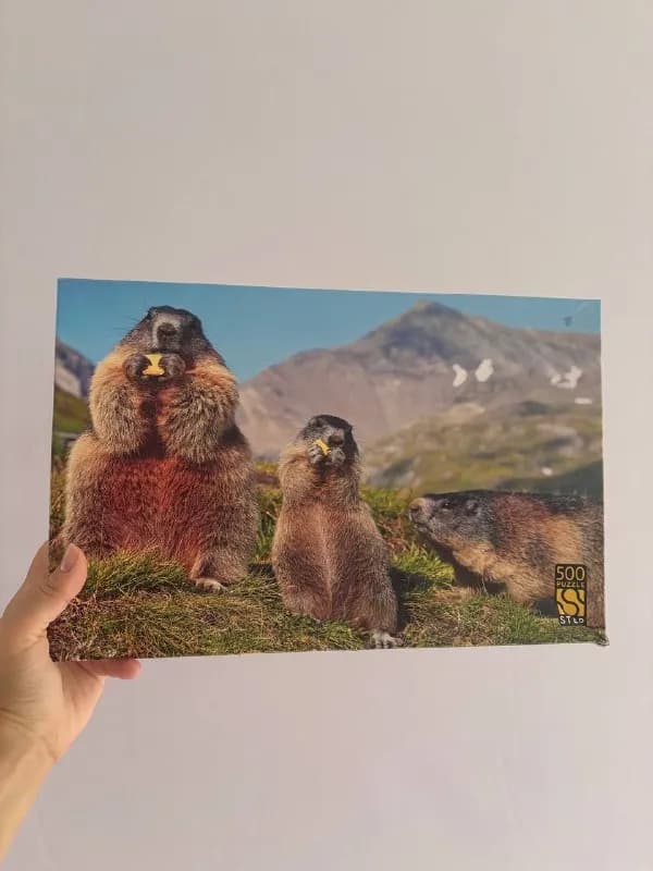 Пазл (мозайка) Step Puzzle с сурками — Батуми — 20 ₾
