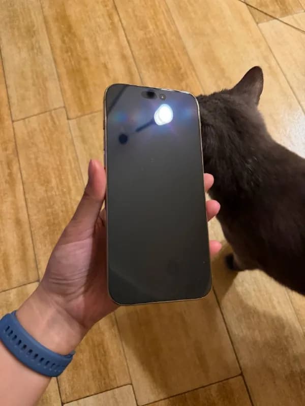 iPhone 16 Pro Max — Батуми — 2 300 ₾