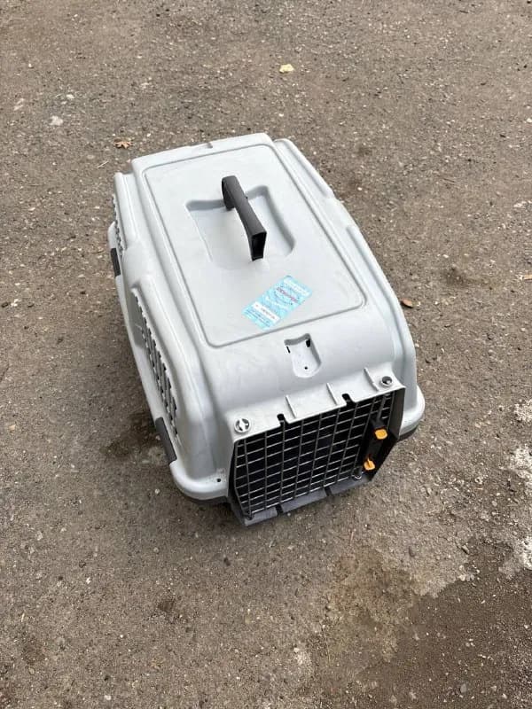 mps skudo 3 iata — Тбилиси — 100 ₾