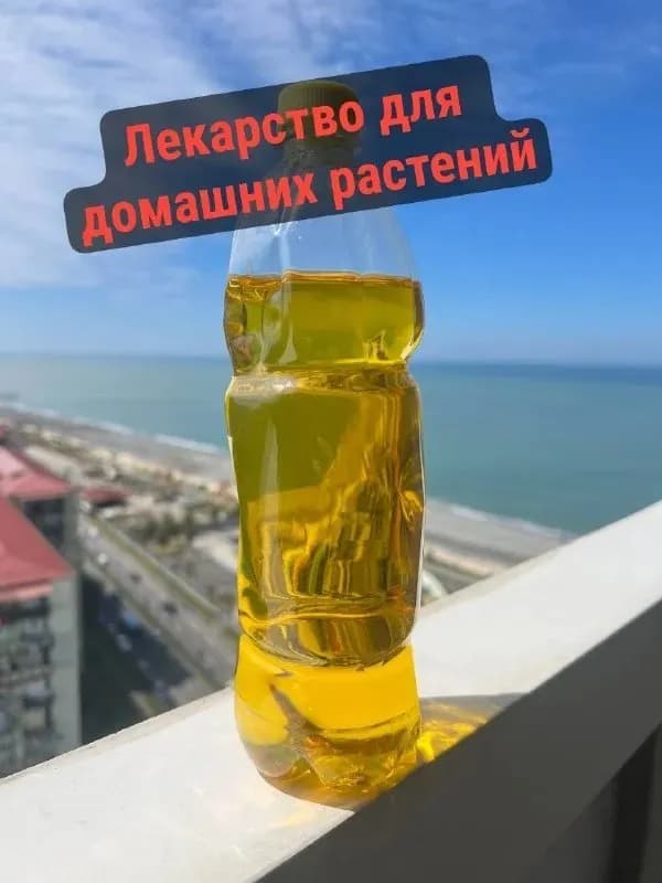 1:10) — вам не нужно возиться с порошками и весами, всё уже готово. — Батуми — 1 ₾
