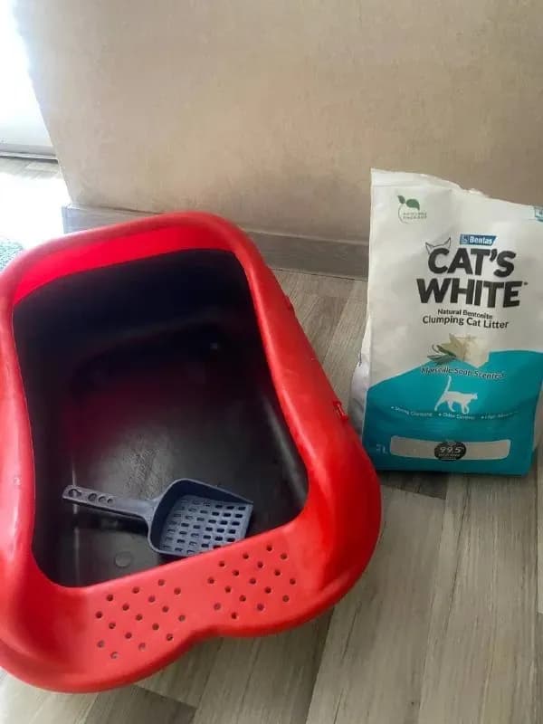 Cat’s White (5 л): Качественный натуральный бентонитовый наполнитель с приятным ароматом марсельског — Тбилиси — 35 ₾