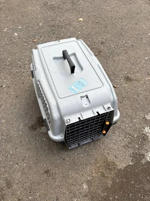 mps skudo 3 iata — Тбилиси — 100 ₾