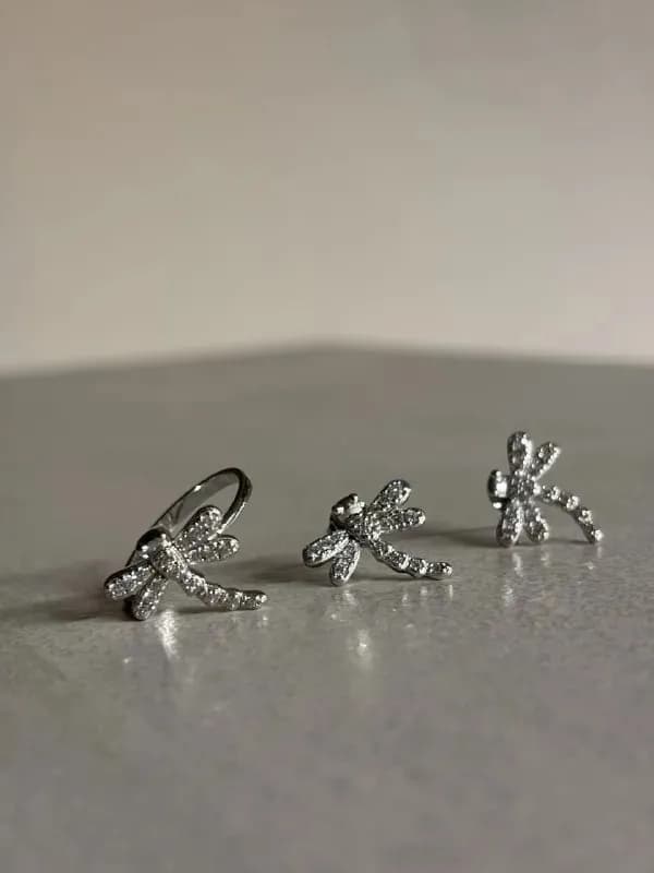 925 кольцо+серьги — Тбилиси — 100 ₾