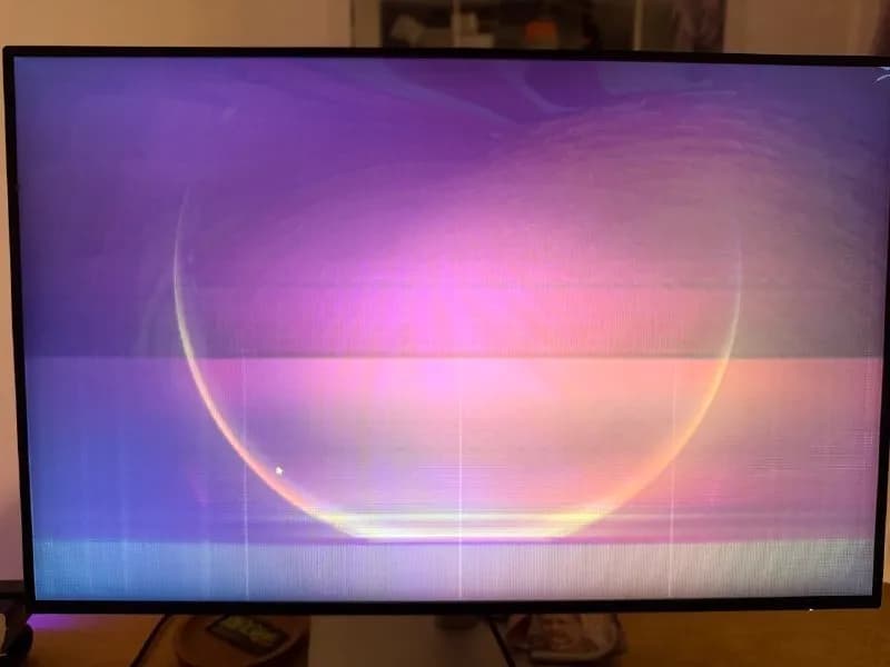 Dell U2421E на запчасти/восстановление. Нужно купить коту билет до приюта… — Батуми
