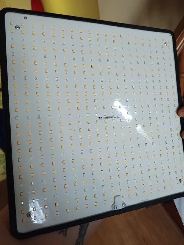 LED лампа для растений. Полный спектр. Работает отлично, всё растёт и процветает) — Батуми — 120 ₾