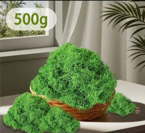 Декоративный мох — Батуми — 40 ₾