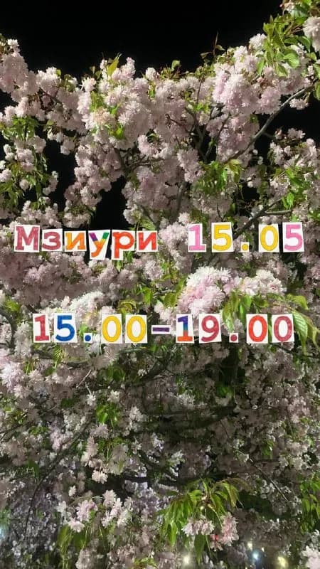 15.05, если погода очень дождливая, то переносим на воскресенье 17.05. — Тбилиси — 35 ₾