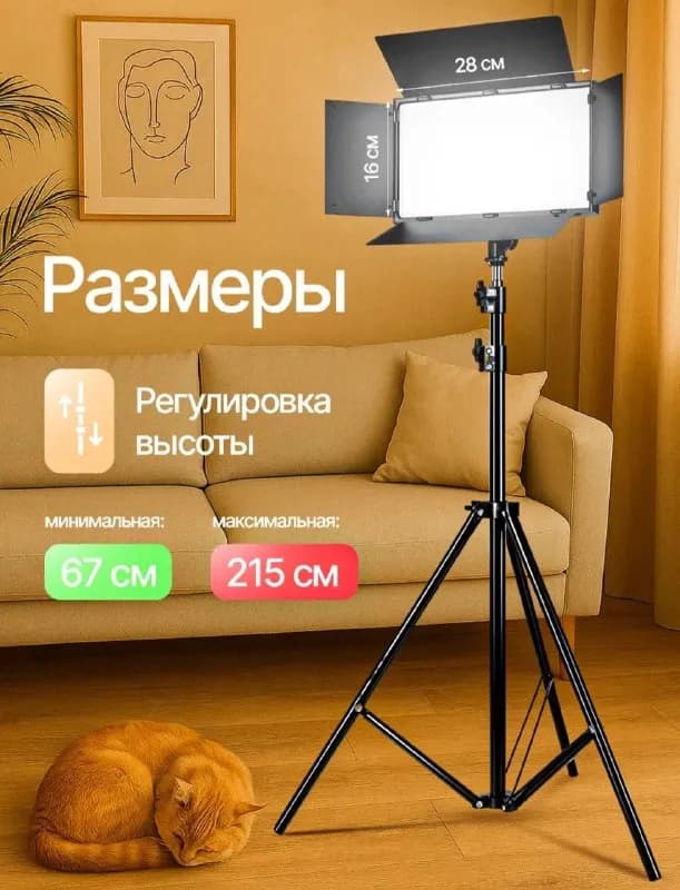 150 лари — Батуми — 150 ₾